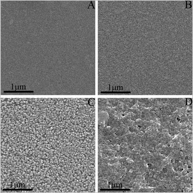 
            SEM images for the gold substrates covered by (A) the initial layer of PySH, denoted as AuSPy, as well as the LBL multilayers of (B) AuSPy(Pd/Fe-PVPTPy), (C) AuSPy(Pd/Fe-PVPTPy)3, and (D) AuSPy(Pd/Fe-PVPTPy)5.