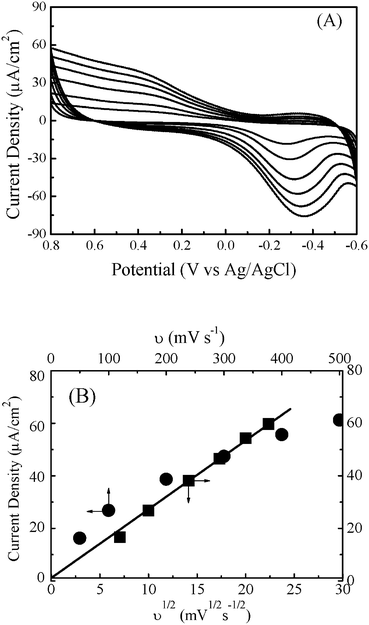 (A) Cyclic voltammograms for the ITO electrode modified by one layer of Pd/Fe-PVPTPy film in the 0.05 M KCl electrolyte solution at the potential scan rates from 50 to 500 mV s−1. (B) Plots of the cathodic current density to the scan rates (•) and root of the scan rates (■).