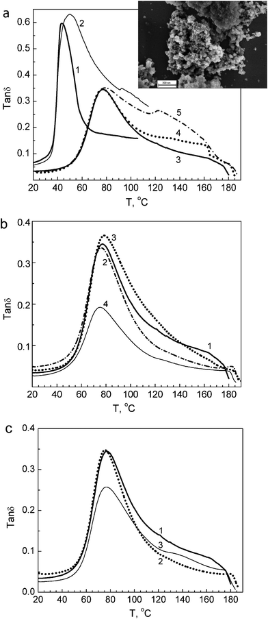 DMA spectra obtained at 1 Hz for unmodified PVA and PVA based nanocomposites: (a) unmodified PVA in initial hydrated (1) and annealed state (3); annealed composite with 1 wt% SiO2 (4), and composite with 10 wt% SiO2 in initial (2) and annealed state (5), insert: SEM image of aggregates of A-300 nanoparticles (scale bar 200 nm); (b) annealed films of unmodified PVA (1) and composites with 1 wt% (2), 10 wt% (3), or 20 wt% dSiO2 (4); (c) annealed films of unmodified PVA (1) and composites with 1 wt% (2) or 10 wt% EG (3).