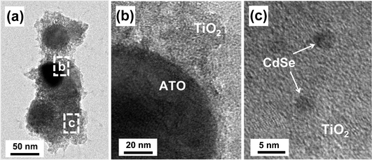 (a) TEM images of 1 wt% CdSe-loaded ATO/TiO2 composite, and (b) and (c) are the high resolution images magnifying the dotted rectangular areas of b and c, respectively, shown in (a).