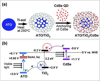 (a) Formation scheme for ATO/TiO2/CdSe double heterojunction system. (b) Energy band diagram indicating electron flows under visible-light irradiation. All of the potential levels versus NHE are indicated.