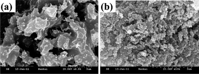
          SEM image for TzF-6 (a) and TzF-7 (b). For more images, see Figure S1.