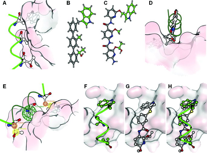 From the alpha-3 helix mimic to the de novo design strategy: the interaction of the alpha-3 helix with the IBD is mainly exerted by 3 amino acids (Thr-124, Ala- 127 and Trp-131) (A). These can be transferred onto helix-mimetic scaffolds such as the molecules depicted in B and C. These molecules however are unlikely to bind to the IBD surface since the major part of the molecule is solvent exposed (D). Therefore a scaffold incorporating the key amino acid interactions using pharmacophore features was used to design an inhibitory molecule (E). In frames F, G and H, the alpha-3 helix, a docked conformation of the designed compound and their superpositions, are represented respectively. In these frames the IBD surface is colored according to the electrostatic interactions.