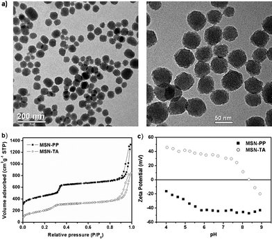 Structural characterization of MSN-TA and MSN-PP. (a) TEM images, left for MSN-PP and right for MSN-TA, (b) nitrogen adsorption isotherms, (c) zeta potential, solid square: MSN-PP, open circle: MSN-TA.