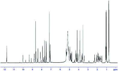 
          1H–MMR spectrum of tunicyclin E (1) at 300 K (C5D5N, 600 Hz).