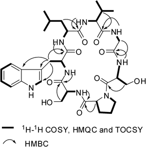 Selected 2D NMR correlations for 1.