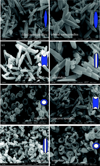 
            SEM images of the products prepared at 220 °C for (a) 3 h, (b) 12 h, (c) 24 h, (d) 36 h, (e) 48 h, (f) 60 h, (g) 72 h, and (h) 84 h. The insets correspond to schematic representations.