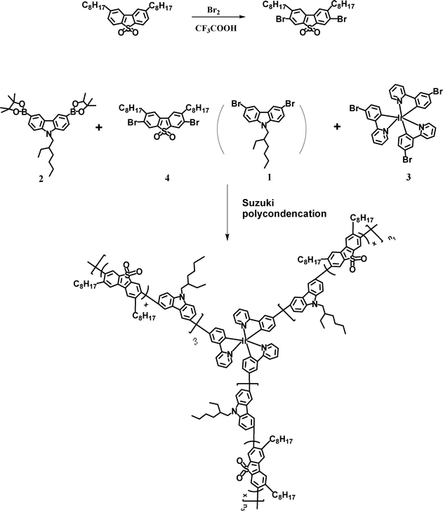 Synthetic route of the monomer and polymers.
