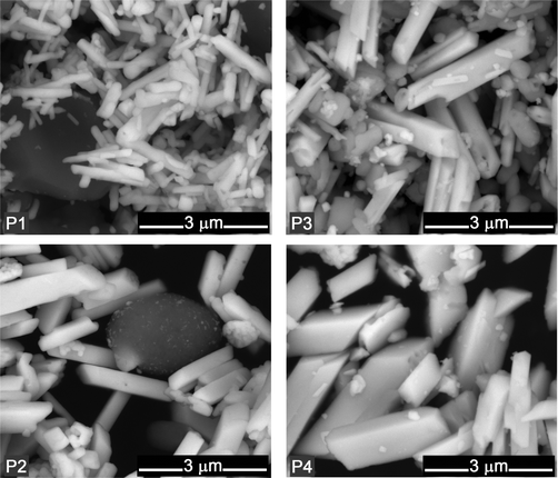 
            SEM images for the pigments obtained with P1 to P4 recipes. Note the presence of calcium carbonate visible as a grey mass in P1 (deliberate addition) and P2 (by-product of pigment synthesis).