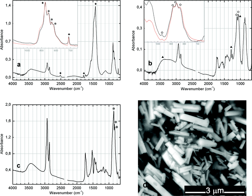 (a) Infrared spectrum of Columbano's oil paint tube (Chrome deep, W&N). In the inset, comparison with P1 pigment (orange line) for 1100–650 cm−1; (b) Infrared spectrum of Mucha micro-sample. In the inset, comparison with P2 pigment (orange line) for 1100–650 cm−1. (*) PbCrO4, (◆) CaCO3, (○) Pb(Cr,S)O4 and (▲) Cr2O3·2H2O (viridian); (c) Infrared spectrum of Amadeo's oil paint tube (Jaune de Chrome foncé – Lefranc) and (d) respective SEM image in BSE mode.