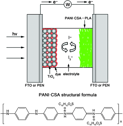 Schematic diagram of the cross-sectional image for the DSC based on PANI·CSA-PLA nanofiber film on FTO or PEN substrates as the counter electrode and the structural formula of the conductive PANI·CSA.