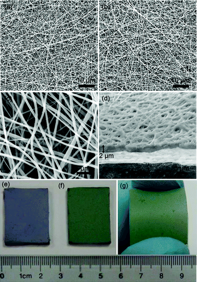 
          SEM images of the top views (a and b) of the PANI-PLA and PANI·CSA-PLA film on FTO glass, the magnified part (c) and cross-sectional view (d) of the PANI·CSA–PLA nanofiber film, and the photos of the PANI-PLA/FTO (e), PANI·CSA–PLA/FTO (f), and PANI·CSA–PLA/PEN (g), respectively.