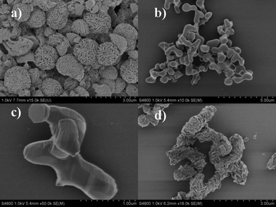 
          SEM images of bismuth carbonate microflowers (a) and Bi2O3 micronuts after annealing (b, c) and UV-irradiated Bi2O3 nanoflakes (d).