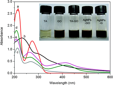 
            UV-vis absorption of aqueous dispersions of (a) TA; (b) GO; (c) TA-GO; (d) AgNPs–GO nanocomposites; (e) AgNPs–G nanocomposites. Inset: optical images of corresponding samples.