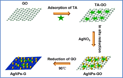 A scheme (not to scale) to illustrate the proposed one-pot preparation of AgNPs–G nanocomposites via chemical reduction of AgNO3 and GO by TA.