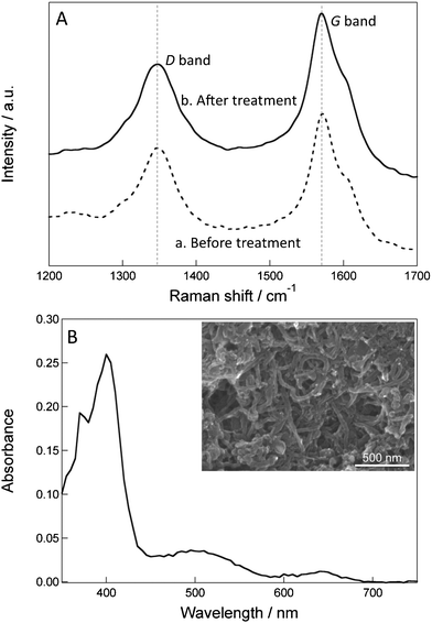 (A) Raman spectra of CSCNF (a) before and (b) after the ozone treatment. (B) Visible spectrum of the high HRP/CSCNF-modified electrode. The spectrum of the CSCNF-modified electrode is subtracted. Inset shows a typical SEM image of the surface of the high HRP/CSCNF-modified electrode.