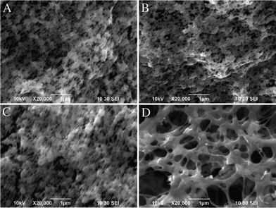 
            SEM images of neat PVDF (A), MWCNTs/PVDF (B), Ag NPs/PVDF (C) and Ag NPs/MWCNTs/PVDF (D) composites.