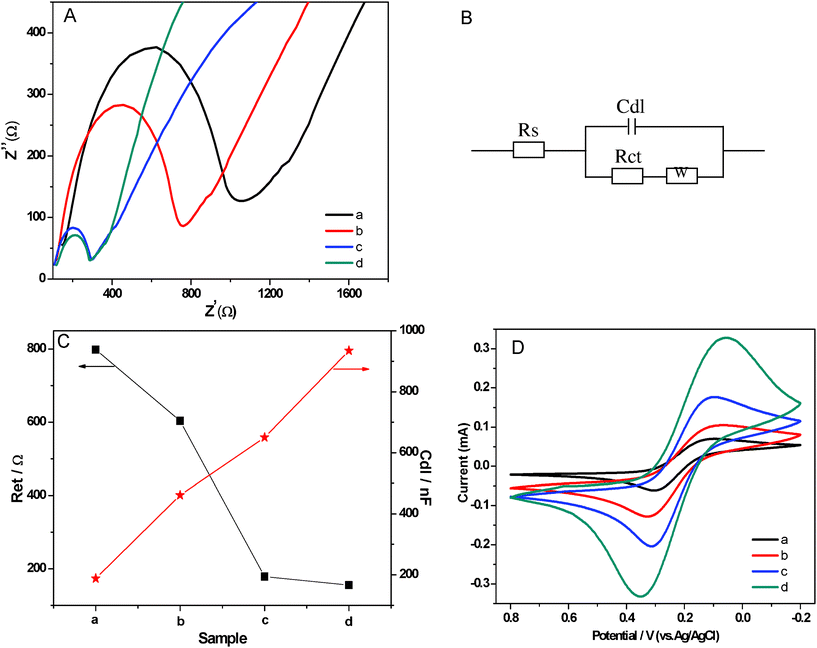 (A) Electrochemical impedance spectroscopy of neat PVDF (a), MWCNTs/PVDF (b), Ag NPs/PVDF (c) and Ag NPs/MWCNTs/PVDF (d) composite-modified IIO-glass electrodes for a 10 mM ferricyanide solution. (B) Randles equivalent circuit based on the electrochemical impedance spectroscopy. (C) The values of electron transfer resistance (Ret) and the capacitances (Cdl) of neat PVDF (a), MWCNTs/PVDF (b), Ag NPs/PVDF (c) and Ag NPs/MWCNTs/PVDF (d) composite-modified IIO-glass electrodes based on the electrochemical impedance spectroscopy. (D) Cyclic voltammograms resulting from the electrochemical properties of neat PVDF (a), MWCNTs/PVDF (b), Ag NPs/PVDF (c) and Ag NPs/MWCNTs/PVDF (d) composite-modified IIO-glass electrodes. Conditions: scan rate, 100 mV s−1; 0.01 mol L−1Fe(CN)63−/4−.