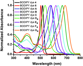 Normalized absorption spectra of BODIPY dyes (4, 6, A–C, Da–Ga) in methylene chloride.