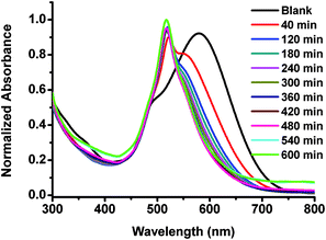 Normalized absorption spectra of BODIPY dye Eb (20 μM) in 0.01 M PBS buffer pH 7.4 in the absence and presence of l-cysteine (10 mM) at different times.