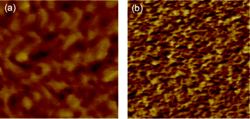 AFM surface topology of (a) BisAH-40_60 °C and (b) BisAH-40_150 °C in tapping mode. The dimensions of the images are 500 × 500 nm2. The phase scale is 0–20°. The measurement was carried out at 35% RH.