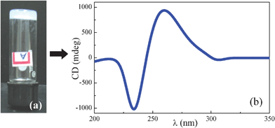 (a) Gelation test by test tube inversion method and (b) CD spectrum recorded at ambient temperature for the gel, both of HBA-5.