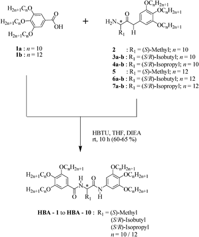 Synthesis of chiral hexacatenar-bisamides