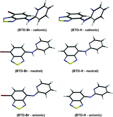 Optimized geometries of cationic, neutral and anionic species of BTD–Br and BTD–H obtained from B3LYP/6-311+G(2d,p)/LANL2DZ level. Note the absence of N–H bonds in anionic forms.