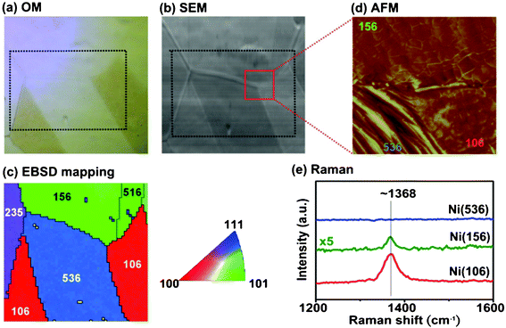 (a) OM and (b) SEM images of the h-BN films that are grown on Ni foils. (c) EBSD image of the marked area with white dashed line. (d) AFM image for the marked area in (b). (e) Raman spectra of the h-BN films on Ni foil with various orientations.
