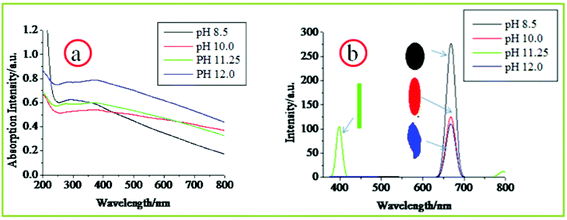 Room temperature optical properties of different CuO nanostructures revealed by a) UV-Vis absorption spectroscopy and b) photoluminescence spectroscopy.