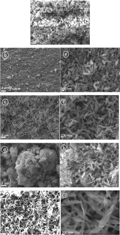 
            SEM images of the synthesized CuO nanoparticles; micrographs correspond to a) pH 7.25, b and f) pH 8.5, c and g) pH 10.0, d and h) pH 11.25, e and i) pH 12.0. Here too, except for the sample corresponding pH 7.25, micrographs of all the other samples have been produced for two different resolutions.