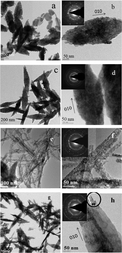 
            HRTEM
            micrographs of the synthesized CuO nanoparticles. (a–b) CuO synthesized at the pH 8.5. (c–d) CuO synthesized at the pH 10.0. (e–f) CuO synthesized at a pH 11.25. (g–h) CuO synthesized at a pH 12.0. SAED patterns are given in the inset.