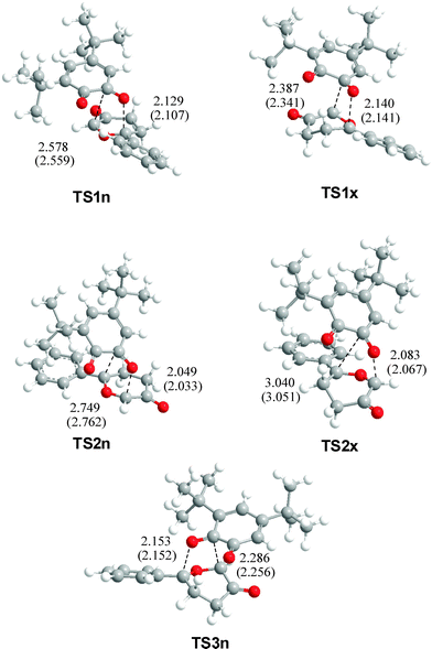 B3LYP/6-31G* in vacuo geometries of selected TSs of the reaction between CY 4 and 12BQ 8. Forming bond distances are in angstroms (values of the geometries optimized in toluene are in parenthesis).
