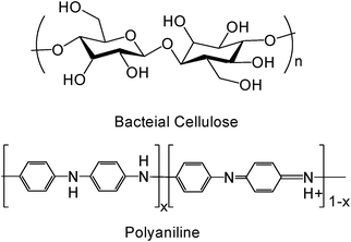Chemical structure of BC and PAni (x = 1, leucoemeraldine base; x = 0.5, emeraldine salt; x = 0, pernigraniline).