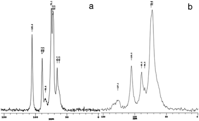 
          13C CPMAS NMR spectra of (a) BC and (b) BC–PAni-1