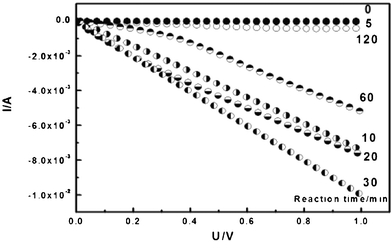 C–V characteristic curve of BC–PAni with different reaction times. (Linear sweep voltammogram of the samples between two SnO2:F electrodes from 0∼1 V.)
