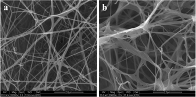 ESEM images of the surface of a bacterial cellulose membrane cultured for 10 days. (The BC membrane was soaked in water for 2 days and then freeze-dried.)