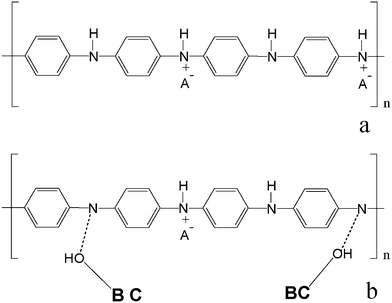 Scheme of PAni (emeraldine salt form) (a) and BC–PAni (b).