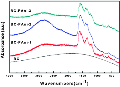 Laser Raman spectra of BC and BC–PAni.