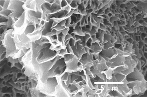 
          EM image of the xerogel G1.