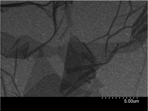 A typical SEM image of the commercially available graphene oxide, as provided by the manufacturer.13