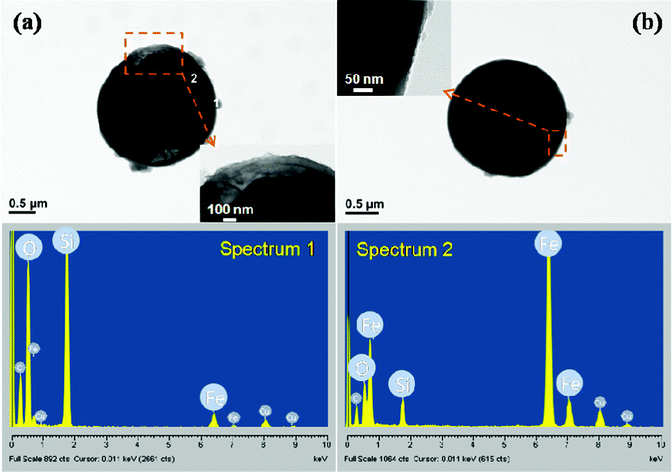 
              TEM images and EDAX of the core-shell structured particles with a (a) non-sphere core and (b) sphere core CIP particle.