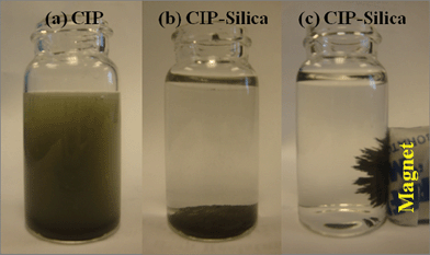 The corrosion test of (a)CIP and (b) CIP-silica in 1 M HCl and (c) the CIP-silica attracted by a magnet after a 4 h test.