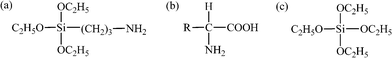 Chemical structure of (a) APTES, (b) gelatin and (c) TEOS.