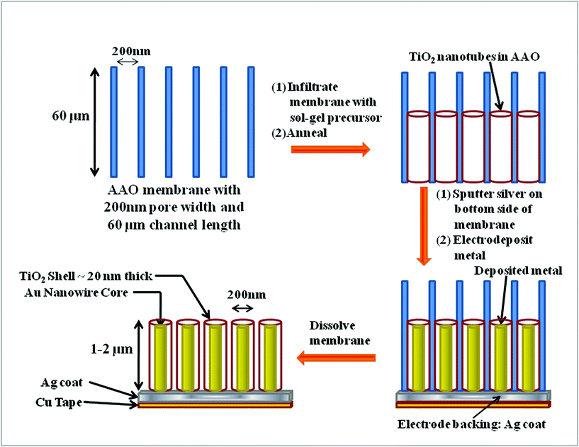 Process for preparing templated Au–TiO2 core-shell nanowires.