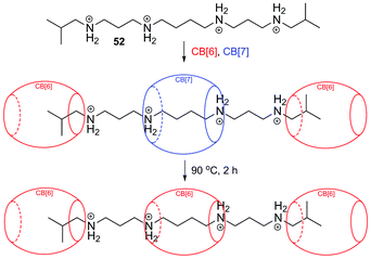 Kinetic vs. thermodynamic self-sorting of polyaminated axle 52 in the presence of CB[6] and CB[7].261