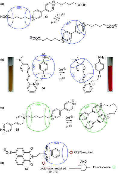 pH-controlled CB[n] switches.