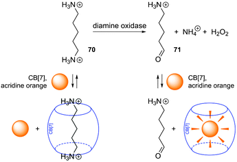 Tandem assay for diamine oxidase monitored by CB[n] and a fluorescent dye.276