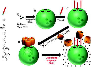 Magnetic MSNPs filled with doxorubicine, linked to 1,6-hexanediammonium chains, and capped with CB[6]. Local heating by an oscillating magnetic field triggers the ejection of CB[6] and the subsequent release of the drug. Reprinted with permission from ref. 344. Copyright 2010 American Chemical Society.