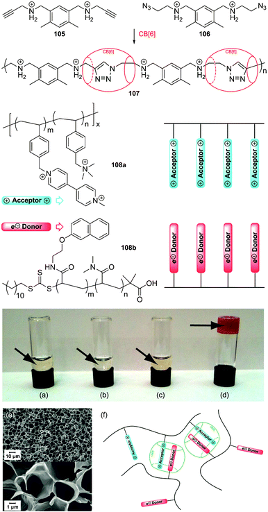 CB[n]-assisted formation of polymers and 3D polymeric networks. Solutions (5 wt%) of (a) copolymer 108a, (b) copolymer 108b, (c) a 1 : 1 mixture of copolymers 108a and 108b; (d) hydrogel formed upon addition of 0.50 equivalent CB[8] (5% cross-linking) to solution (c). (e) Scanning electron microscopy (SEM) image of the cryo-dried hydrogel. (f) Cartoon illustrating the supramolecular structure of the 3D polymeric network. (a)–(f): Reprinted with permission from ref. 361. Copyright 2010 American Chemical Society.